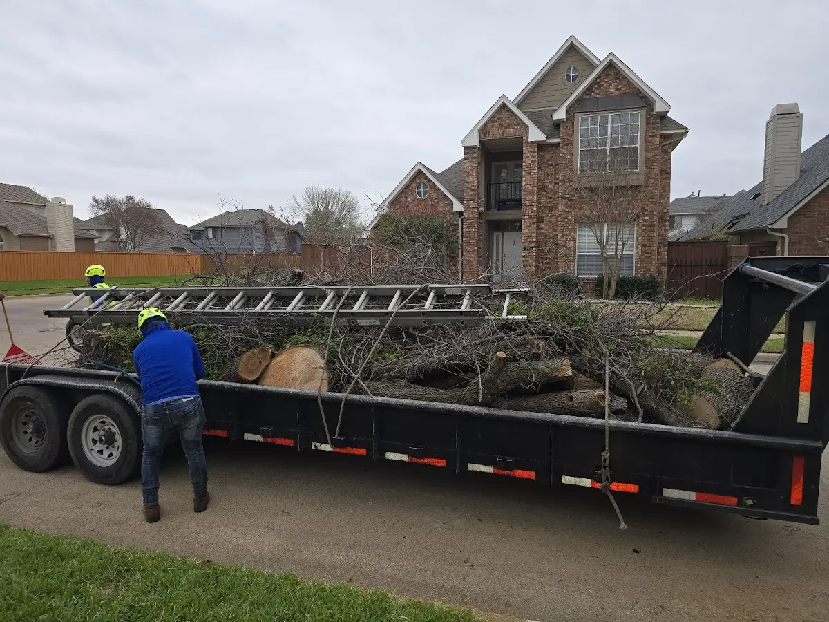 Expert Tree Removal with proper safety equipment in Fernwood